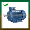 Y2 Series High Efficiency 2 Poles 0.75W Three Phase Asynchronous Electric Motor